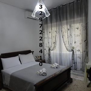 B&B Dodo